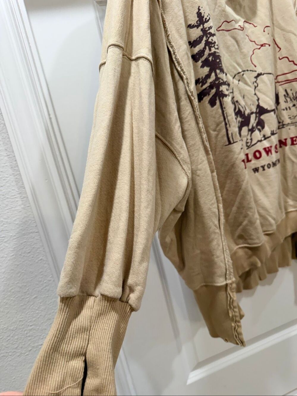 We The Free Free People Yellowstone Bison Graphic Sweatshirt Oversized Size M - Picture 5 of 5